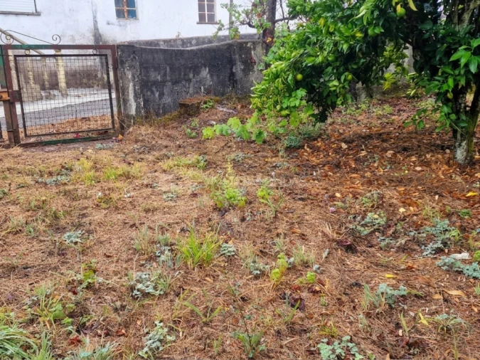 Quinta T2 para Venda em Cernache do Bonjardim, Nesperal e Palhais Foto 9