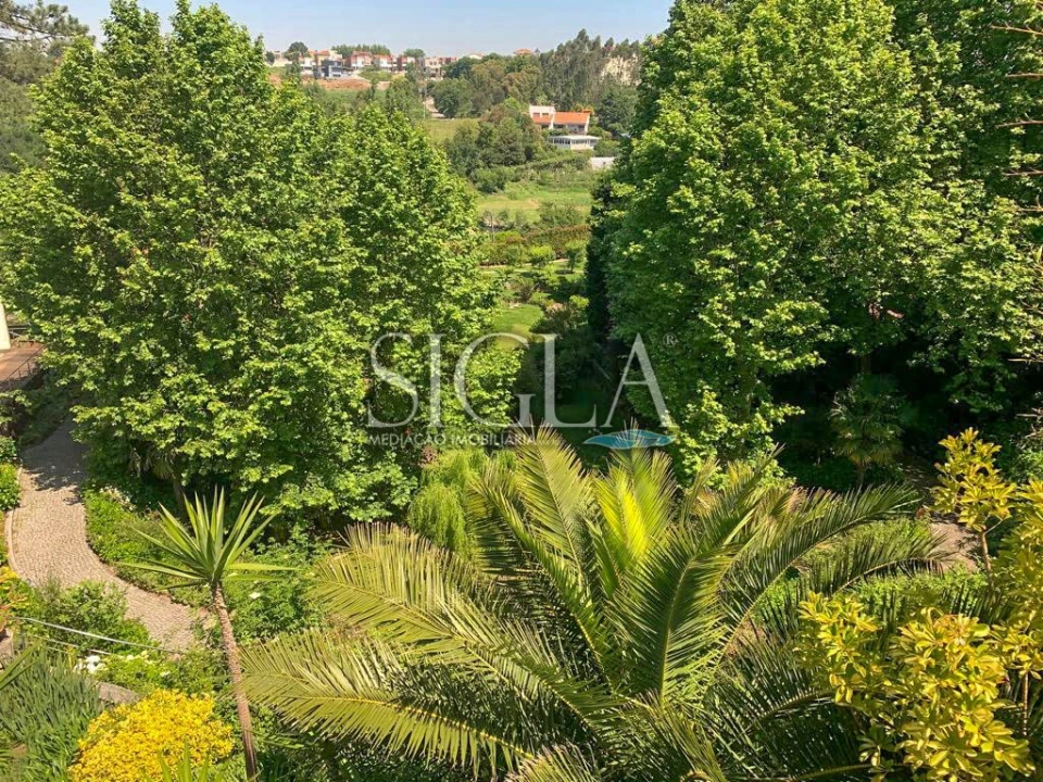 Quinta T10 para Venda em Gulpilhares e Valadares Foto 11