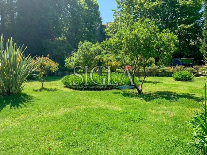 Quinta T10 para Venda em Gulpilhares e Valadares Foto 7