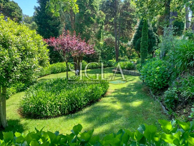 Quinta T10 para Venda em Gulpilhares e Valadares Foto 20