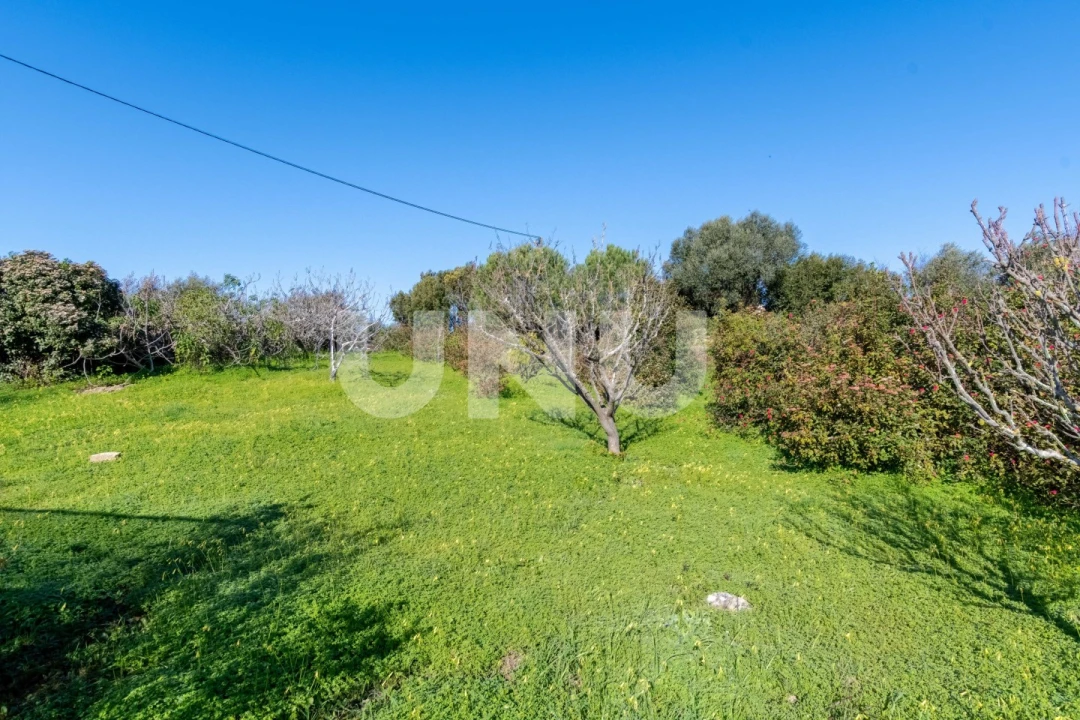 Moradia T5 para Venda em Alhandra, São João dos Montes e Calhandriz Foto 59