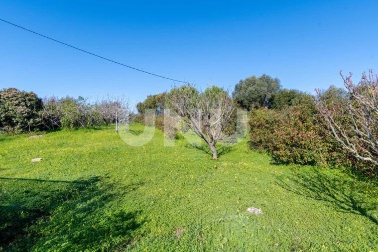 Moradia T5 para Venda em Alhandra, São João dos Montes e Calhandriz Foto 59