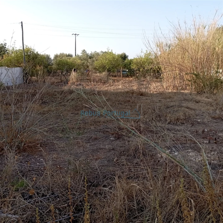 Terreno para Venda em Faro (Sé e São Pedro) Foto 4