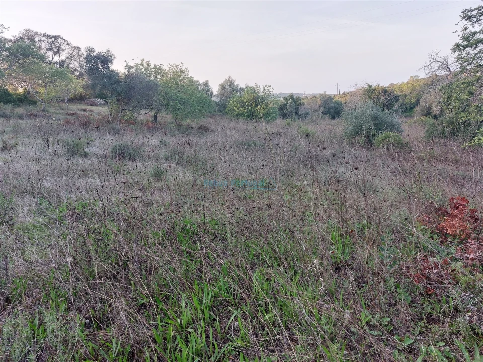 Terreno Agricola ou Rústico para Venda em Santa Barbara de Nexe Foto 6