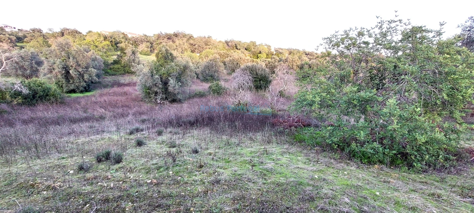 Terreno Agricola ou Rústico para Venda em Santa Barbara de Nexe Foto 10