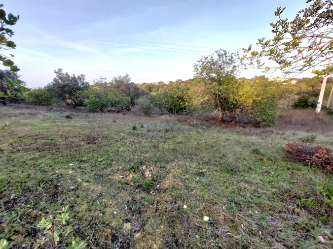 Terreno Agricola ou Rústico para Venda em Santa Barbara de Nexe Foto 9