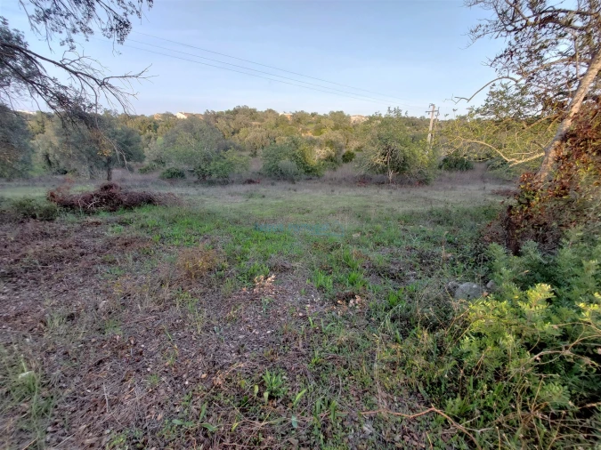 Terreno Agricola ou Rústico para Venda em Santa Barbara de Nexe Foto 2