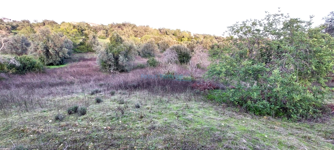 Terreno Agricola ou Rústico para Venda em Santa Barbara de Nexe Foto 10