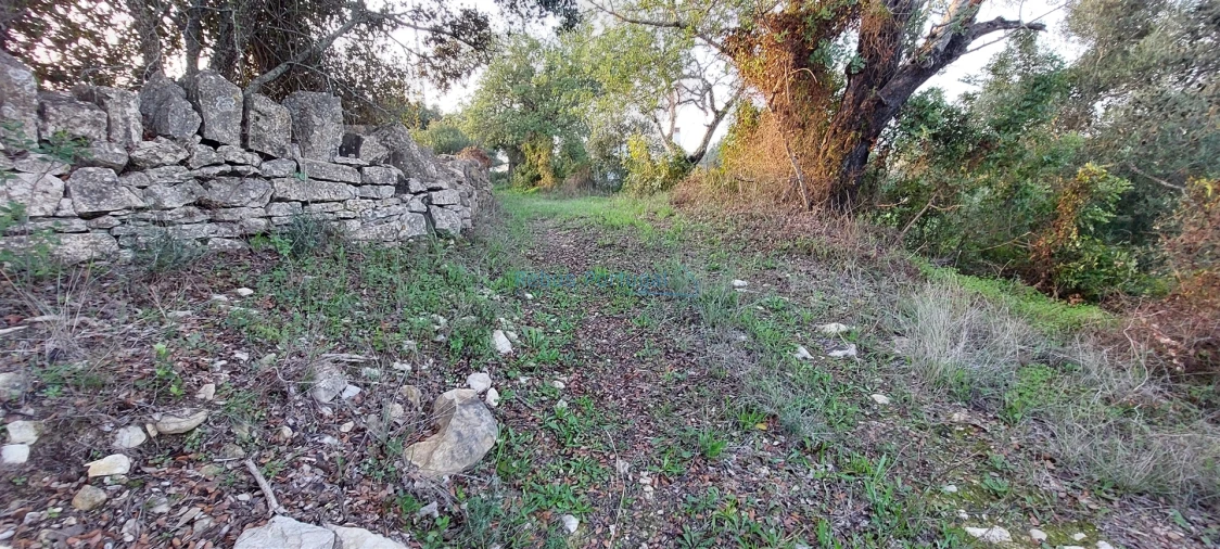 Terreno Agricola ou Rústico para Venda em Santa Barbara de Nexe Foto 11