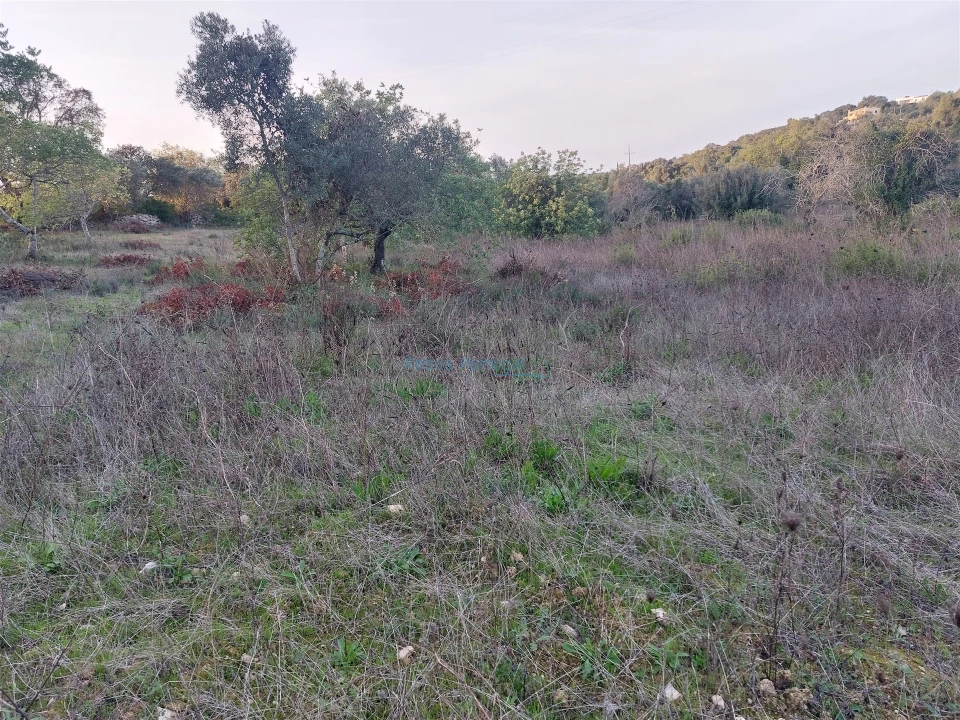 Terreno Agricola ou Rústico para Venda em Santa Barbara de Nexe Foto 5
