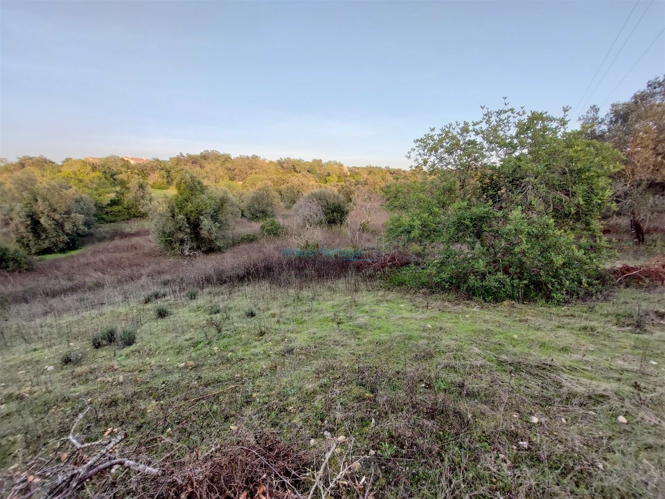Terreno Agricola ou Rústico para Venda em Santa Barbara de Nexe Foto 1