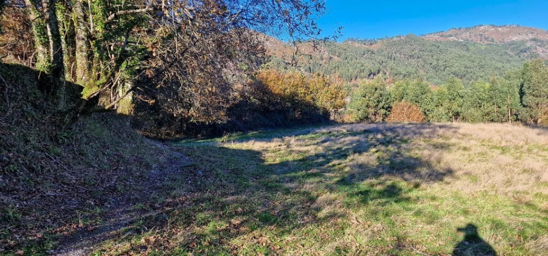 Terreno para Venda em Eira Vedra Foto 16