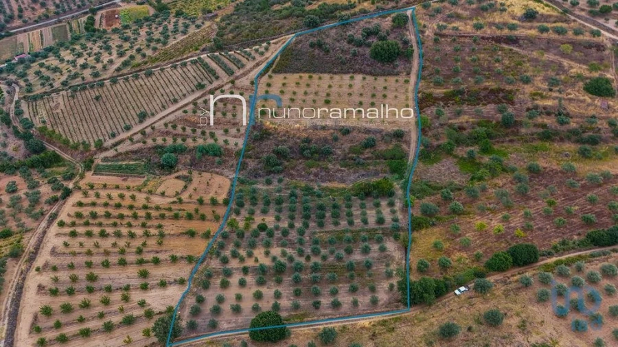 Terreno para Venda em Poço do Canto Foto 1