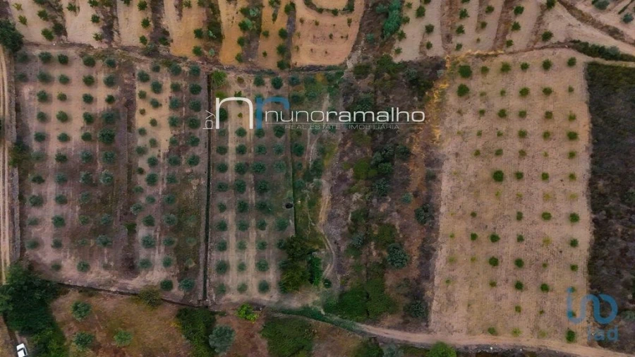 Terreno para Venda em Poço do Canto Foto 5