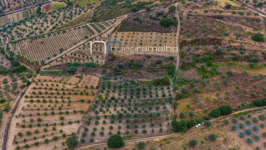 Terreno para Venda em Poço do Canto Foto 7