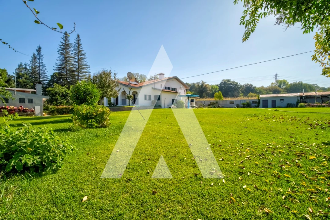 Quinta T4 para Venda em Palmeira Foto 14