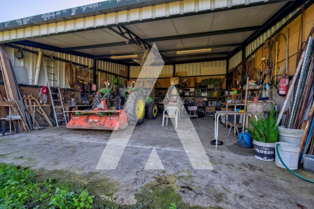 Quinta T4 para Venda em Palmeira Foto 40