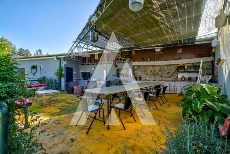 Quinta T4 para Venda em Palmeira Foto 43