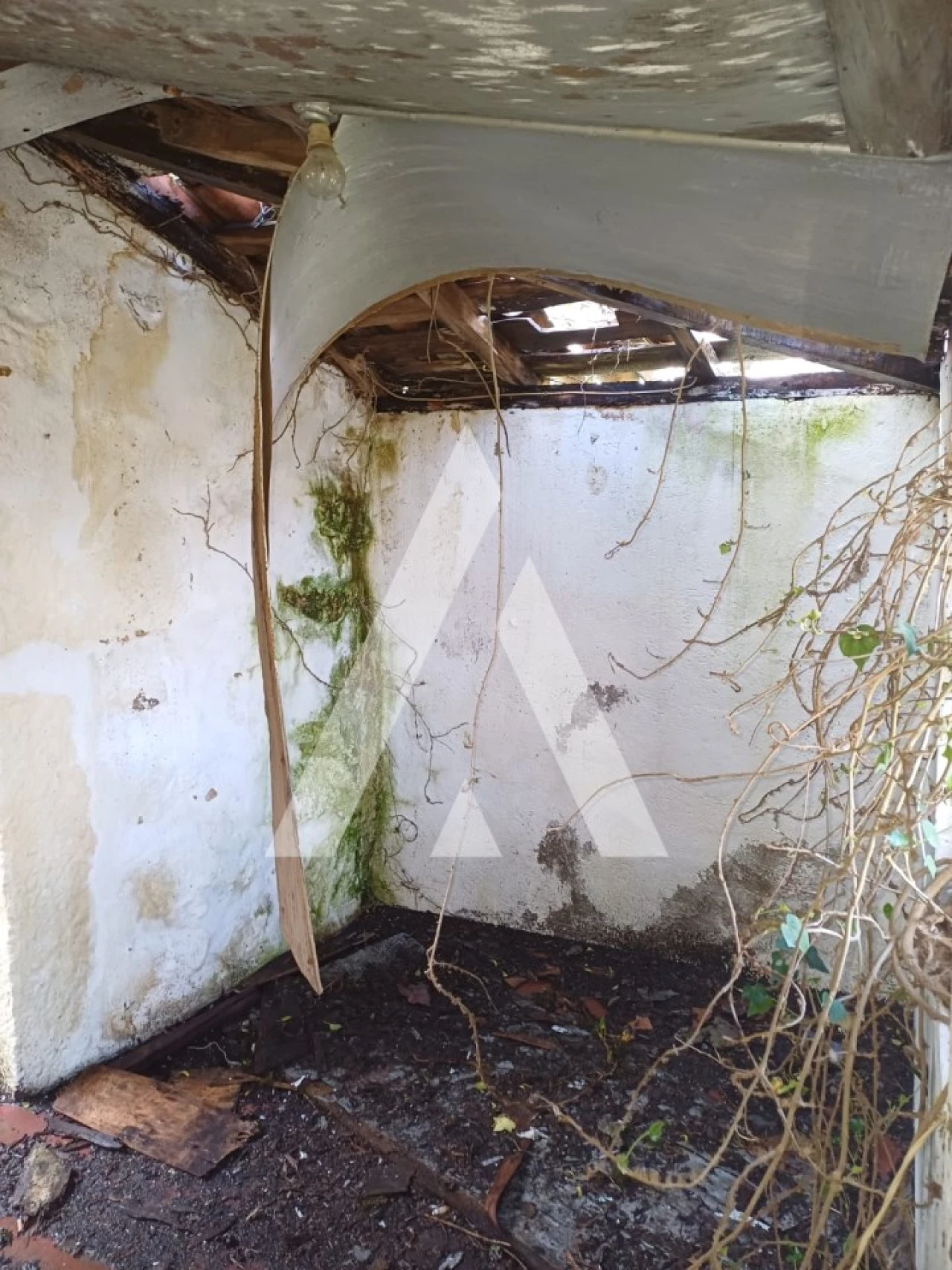 Terreno para Venda em Salamonde Foto 3