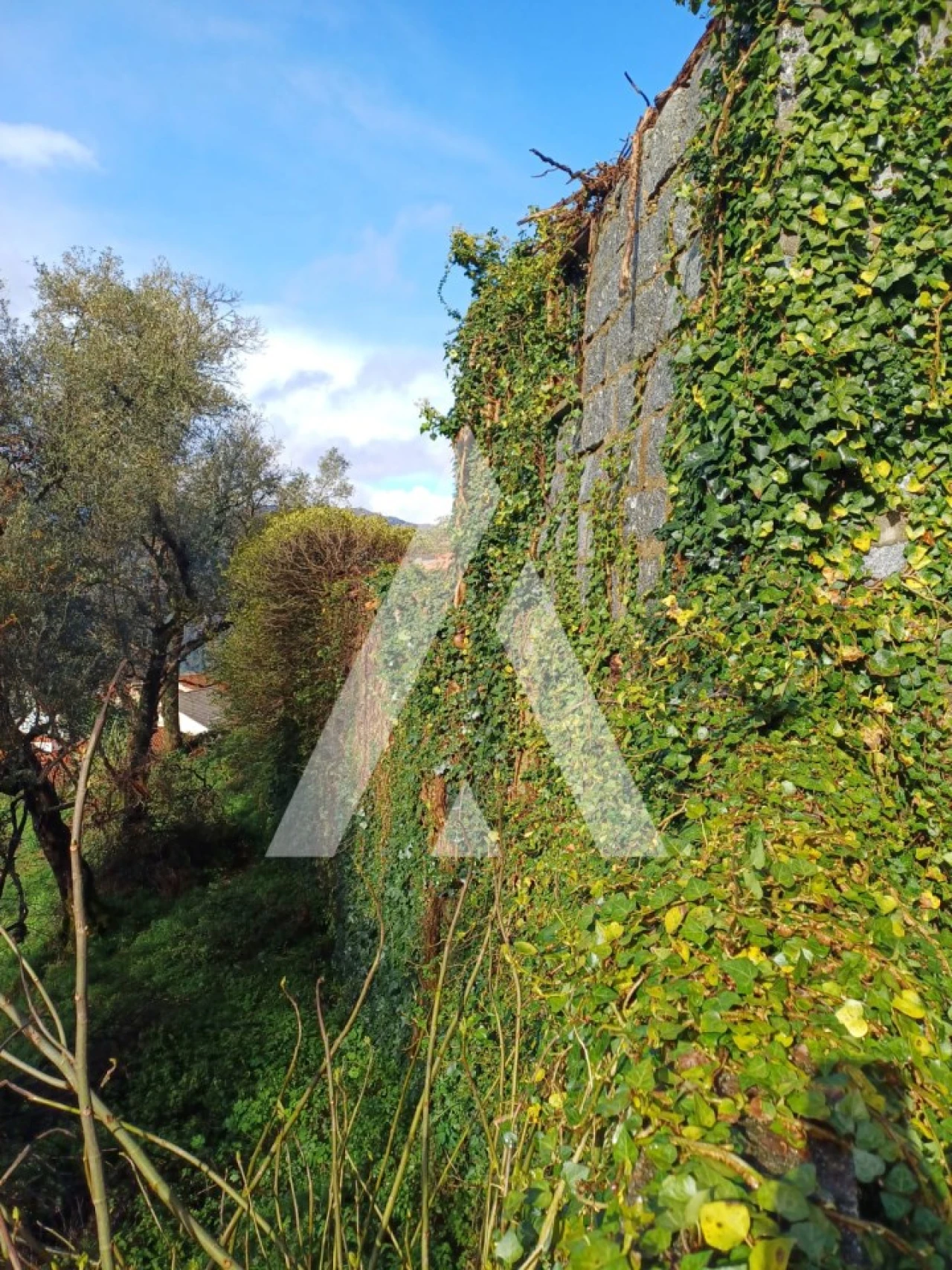 Terreno para Venda em Salamonde Foto 2