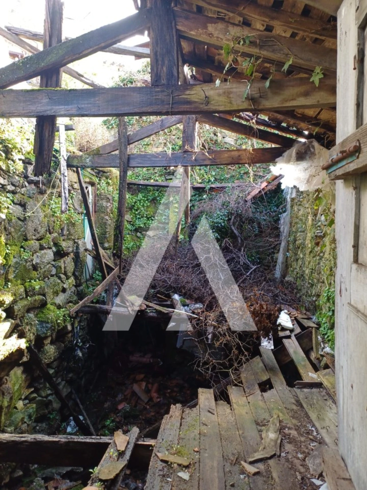 Terreno para Venda em Salamonde Foto 6