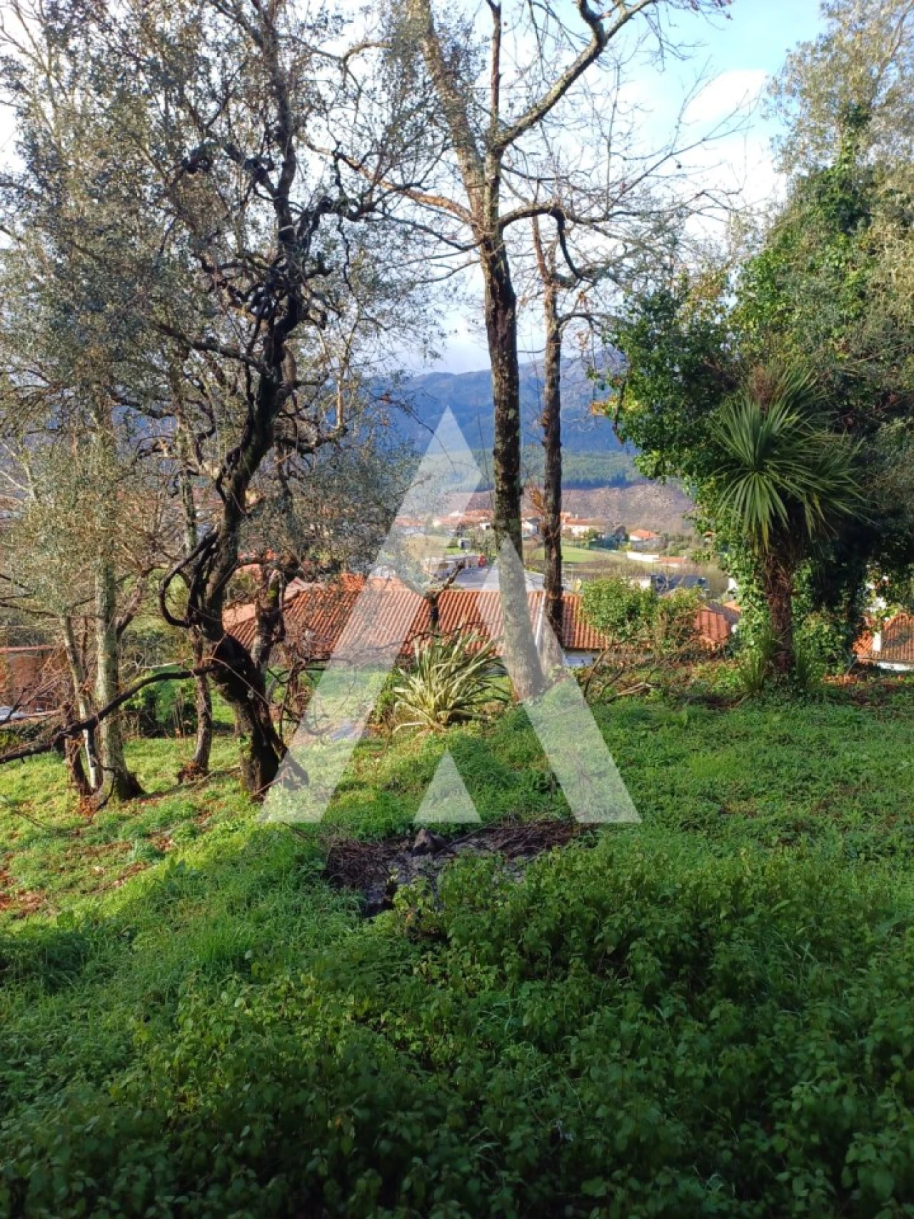 Terreno para Venda em Salamonde Foto 10