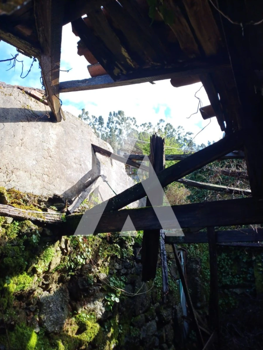 Terreno para Venda em Salamonde Foto 7