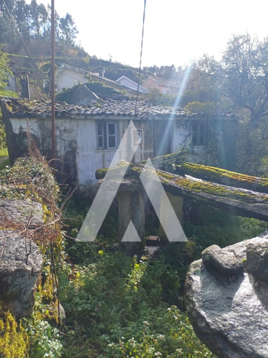 Terreno para Venda em Salamonde Foto 8