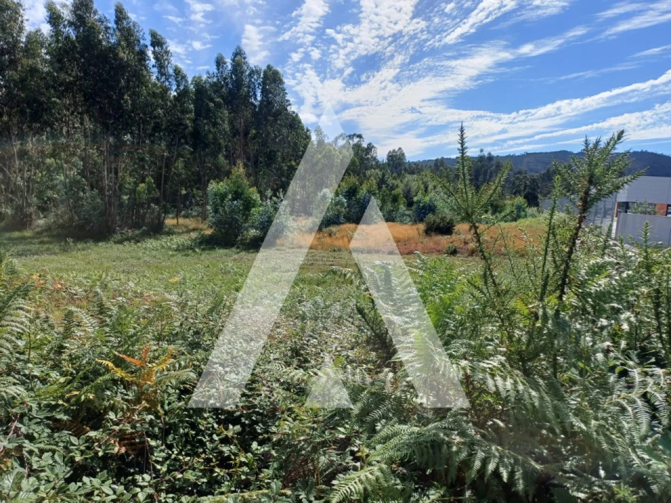 Terreno para Venda em Oleiros Foto 1