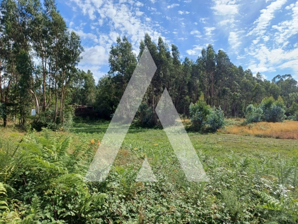 Terreno para Venda em Oleiros Foto 2
