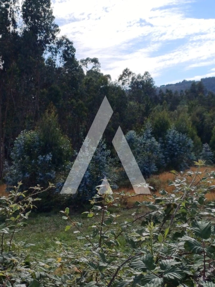 Terreno para Venda em Oleiros Foto 8