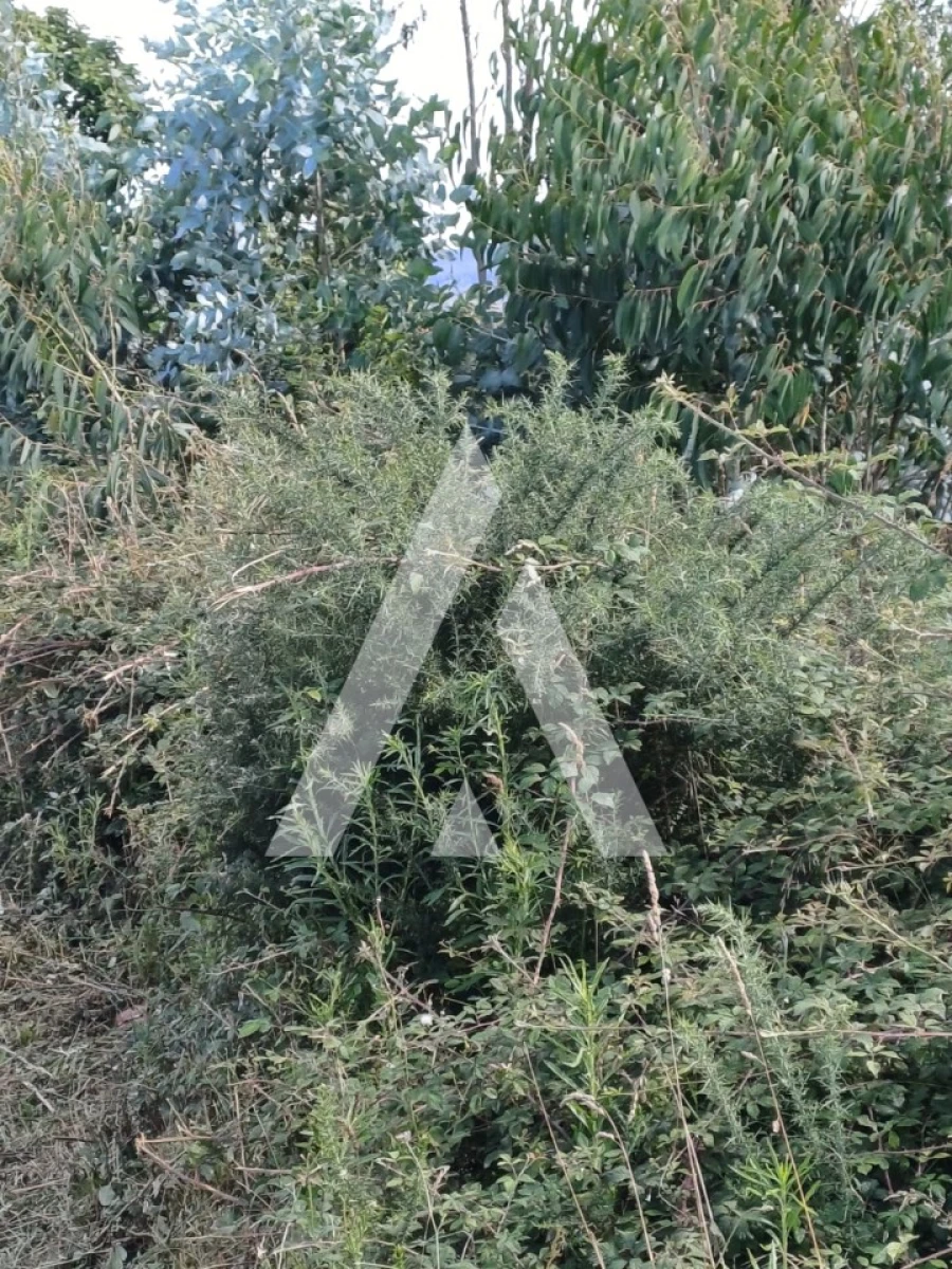 Terreno para Venda em Oleiros Foto 9