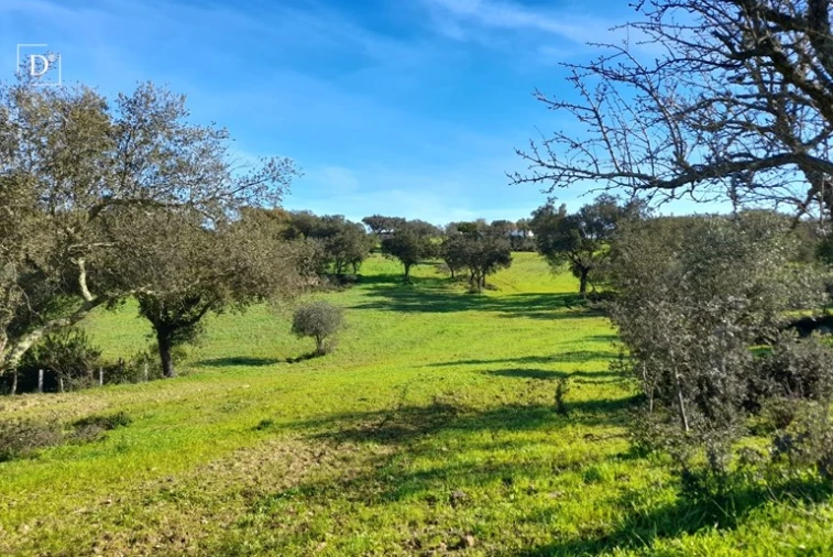 Moradia T3 para Venda em Ourique Foto 8