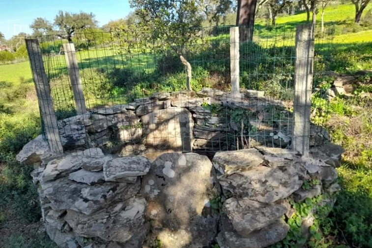 Moradia T3 para Venda em Ourique Foto 10