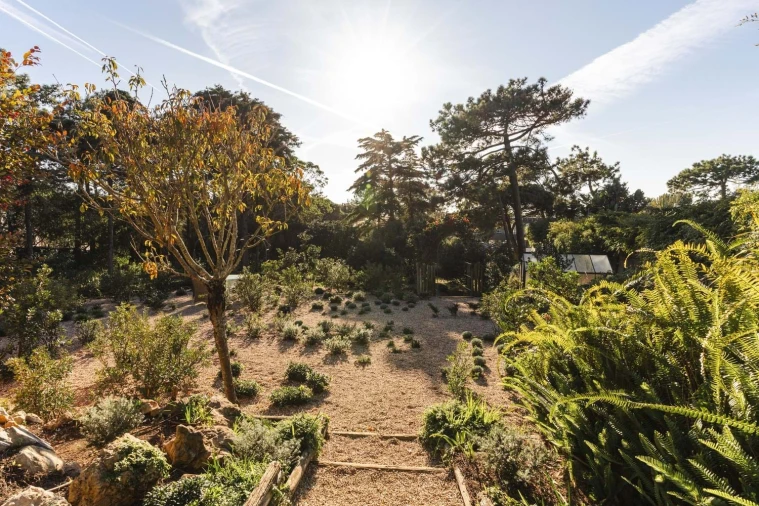 Moradia T6 para Arrendamento em Cascais e Estoril Foto 49