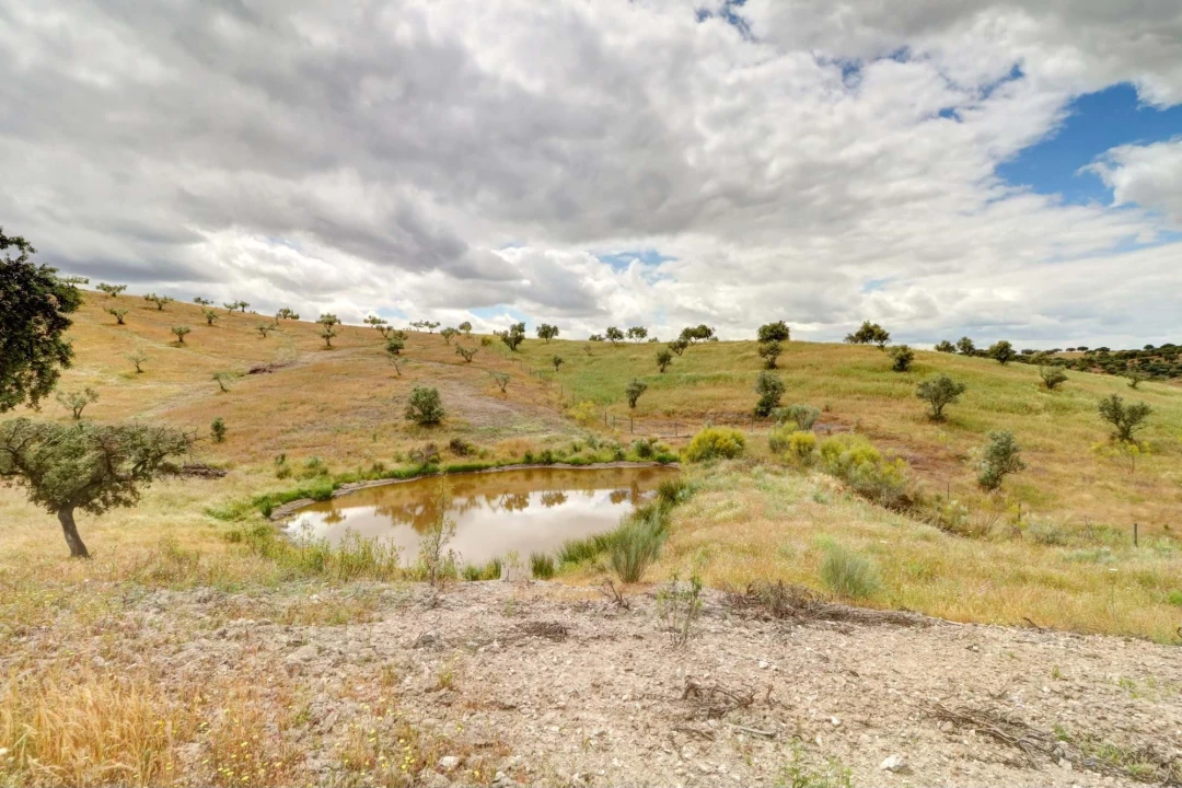 Quinta T10 para Venda em Povoa de São Miguel Foto 17