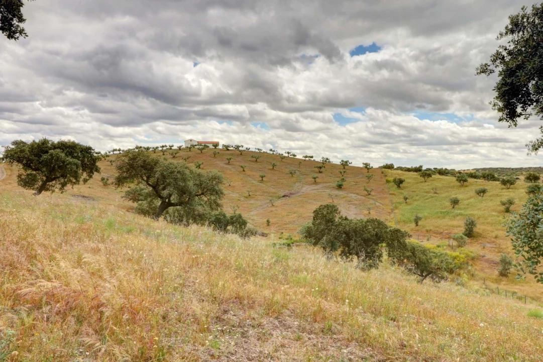 Quinta T10 para Venda em Povoa de São Miguel Foto 20