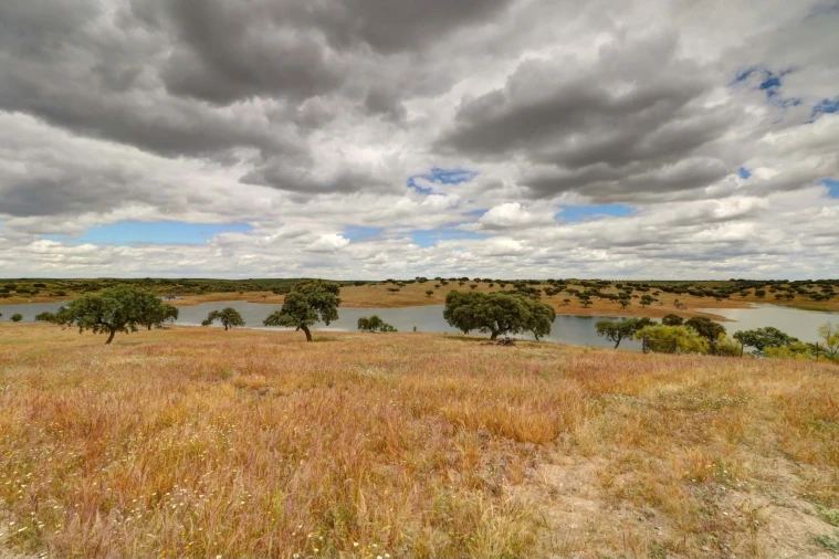 Quinta T10 para Venda em Povoa de São Miguel Foto 23
