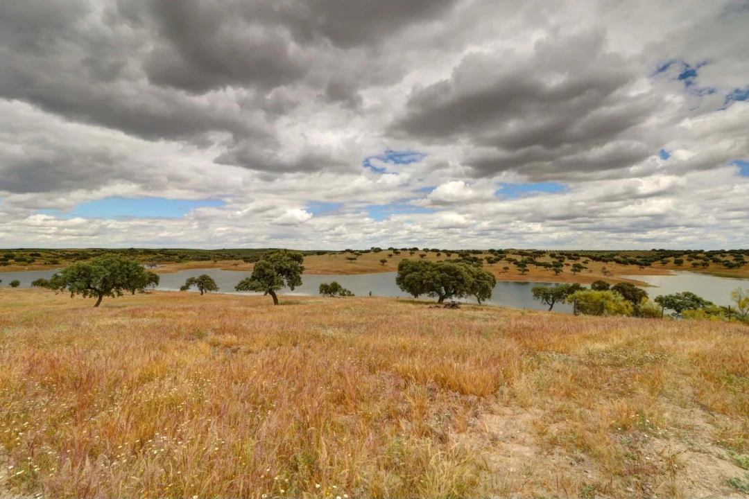 Quinta T10 para Venda em Povoa de São Miguel Foto 23