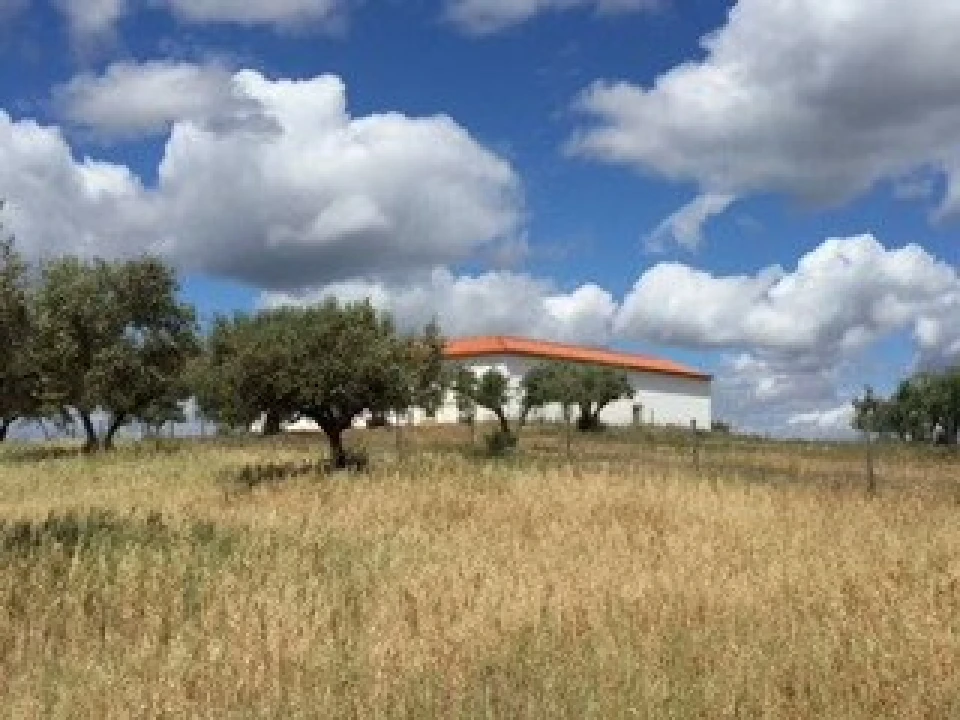 Quinta T10 para Venda em Povoa de São Miguel Foto 6