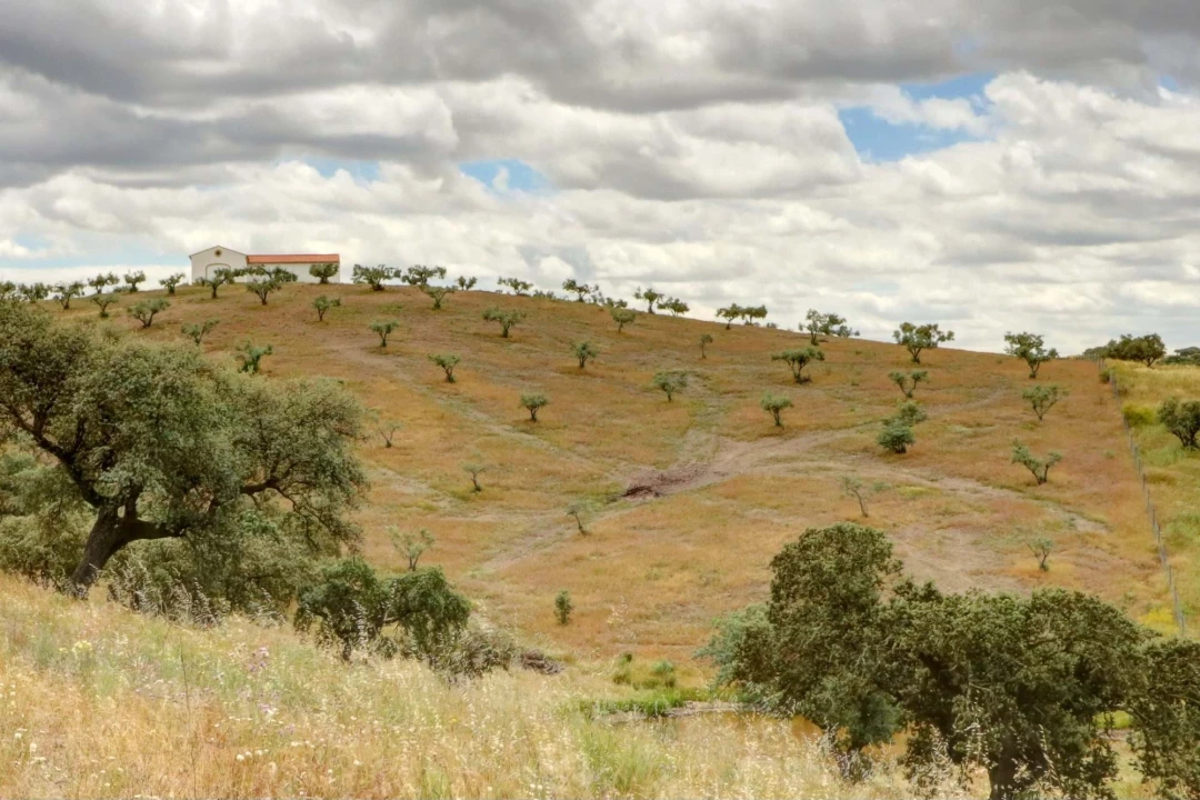 Quinta T10 para Venda em Povoa de São Miguel Foto 21