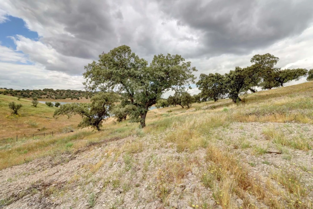 Quinta T10 para Venda em Povoa de São Miguel Foto 19
