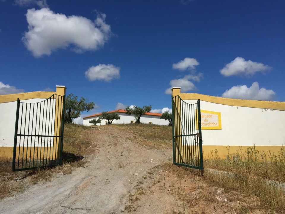 Quinta T10 para Venda em Povoa de São Miguel Foto 1