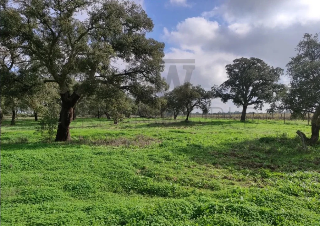 Terreno para Venda em Poceirão e Marateca Foto 1