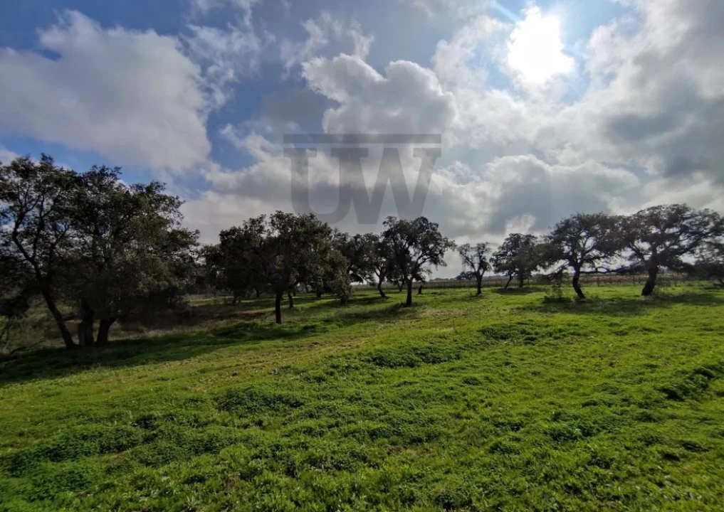 Terreno para Venda em Poceirão e Marateca Foto 6