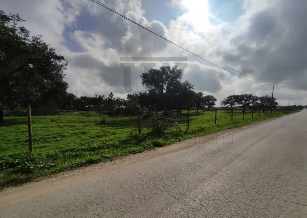 Terreno para Venda em Poceirão e Marateca Foto 7