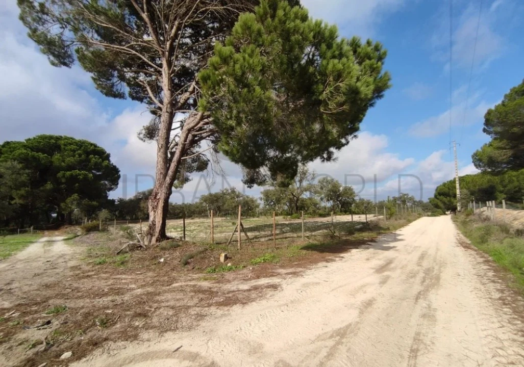 Terreno para Venda em Poceirão e Marateca Foto 18