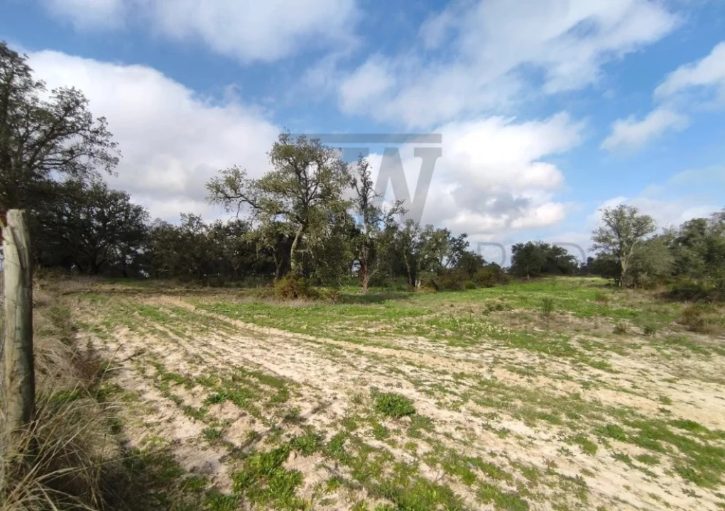 Terreno para Venda em Poceirão e Marateca Foto 20