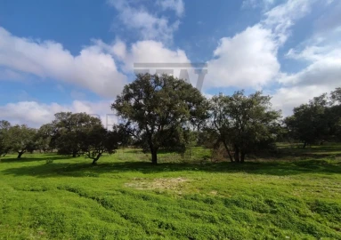 Terreno para Venda em Poceirão e Marateca