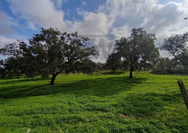 Terreno para Venda em Poceirão e Marateca